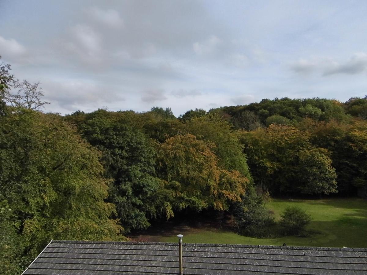 Bed and Breakfast The Mill At Glynhir Ammanford Exterior foto